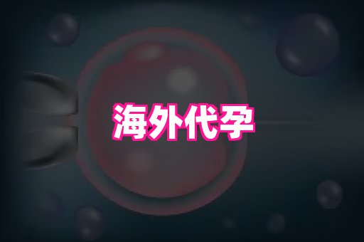厦门助孕网站 3